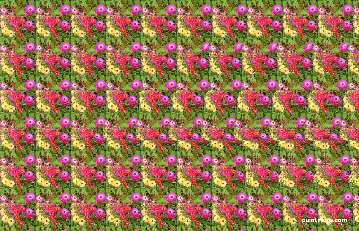 New-York Haritası - 3D Stereogram (Şaşı Bak Şaşır)
